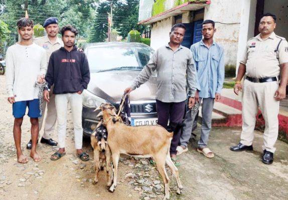 बकरी चोरी करने वाले गिरोह का पर्दाफाश, 4 गिरफ्तार, दो बकरी बरामद