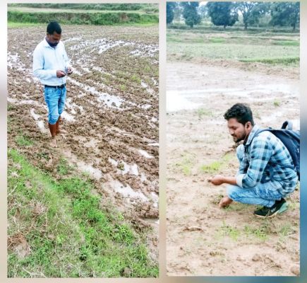 नकली बीज-खाद का कारोबार जोरों पर, किसान को हो रहा नुकसान