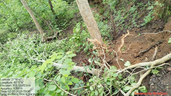 काशीबाहरा नाला के पास हाथी की मौजूदगी, गांवों में अलर्ट