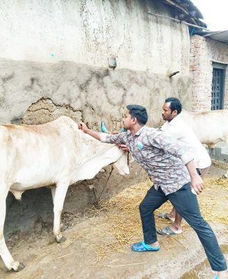 पशु स्वास्थ्य सुरक्षा के लिए संवाद व टीकाकरण अभियान