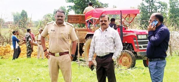 वन परिक्षेत्र रामानुजगंज में अवैध अतिक्रमण हटाए