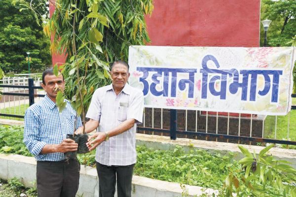 उद्यानिकी विभाग ने 500 पौधों का किया नि:शुल्क वितरण