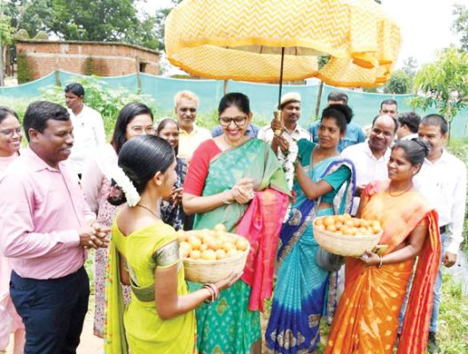 प्रभारी सचिव रीना बाबा साहेब पहुंचीं झलरिया