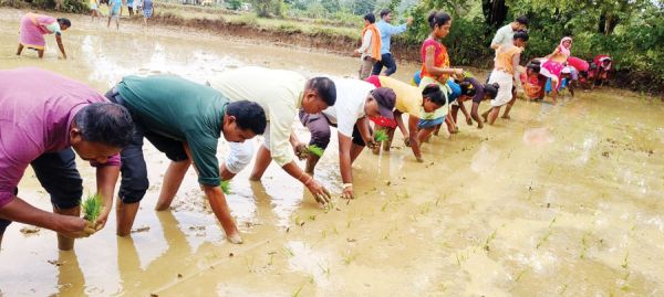 श्री विधि से जैविक खेती का प्रदर्शन