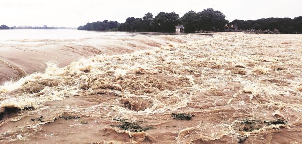 बारिश : शिवनाथ उफान पर, खेत-तालाब लबालब