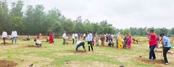 एक पेड़ मां के नाम, बेहरापाल व कौंदकेरा में पौधरोपण