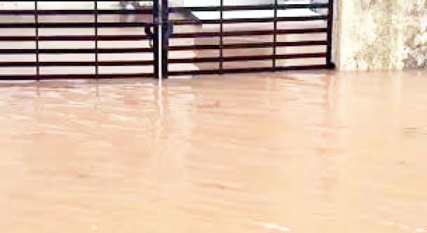 5 दिन लगातार बारिश, पुल-पुलिया डूबे, कई गांव का जिला मुख्यालय से संपर्क कटा