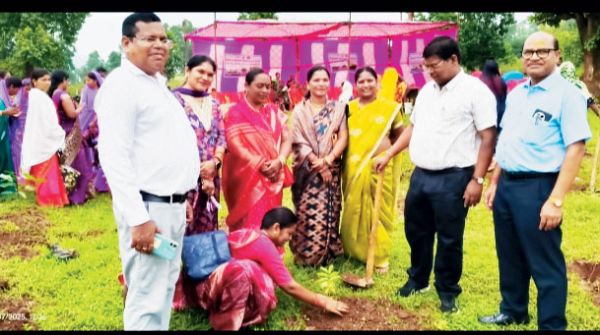 केवल पौधा लगाना ही नहीं उनका पेड़ बनने तक संरक्षण भी आवश्यक-कलेक्टर 