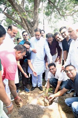 करबला तालाब पार विधायक ने रोपे पौधे