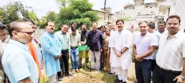 प्रकृति मां के समान, उसे बचाना हम सबकी जिम्मेदारी- अनुराग सिंह देव