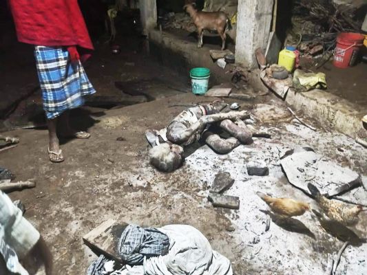पेड़ कटाई से भोजन की कमी, अब गांव की ओर रूख कर रहे हाथी