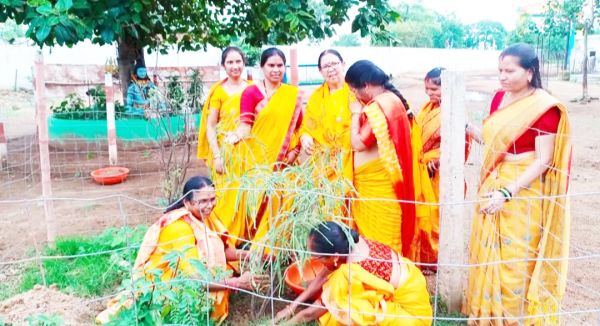 वेदमाता गायत्री गौशाला परिसर में पौधरोपण