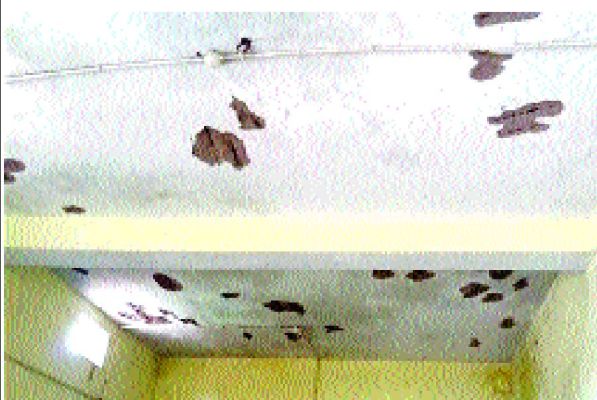 शांति नगर स्कूल की प्राचार्य-डीईओ आज बाल संरक्षण आयोग में तलब