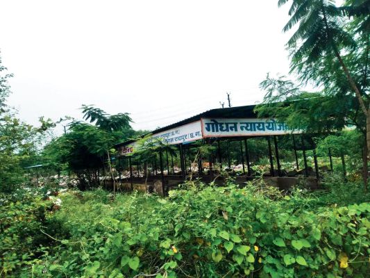 खाद फैक्ट्री अब डंपिंग ग्राउंड में बदला