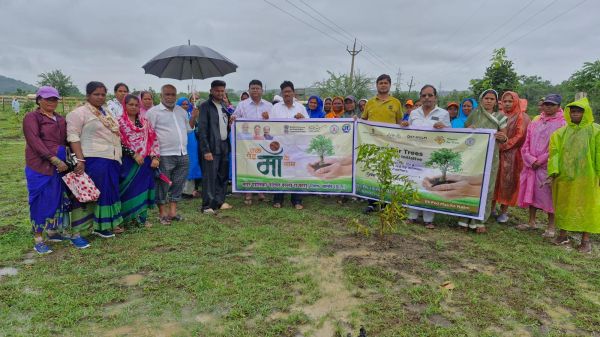 दल्ली राजहरा में सैकड़ों पौधे रोपे