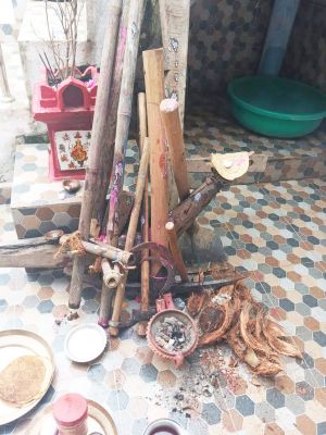 हरेली: नांगर-कोप्पर-दतारी-टंगिया-बसुला-रापा और पशुधन की पूजा
