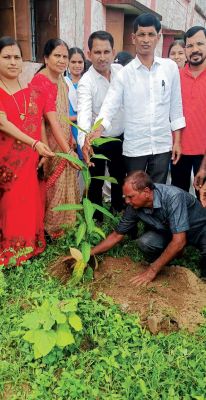 गुदागुदा स्कूल में पौधरोपण