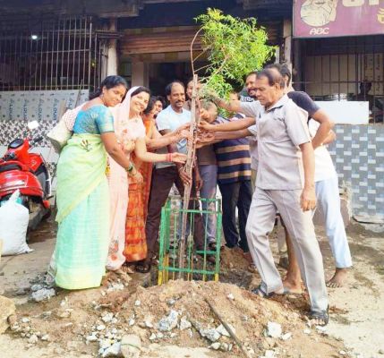 हरेली में बस स्टैंड के कारोबारियों ने किया पौधरोपण