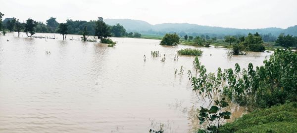 प्लांट ने बिजली उत्पादन के लिए नदी का पानी को रोका
