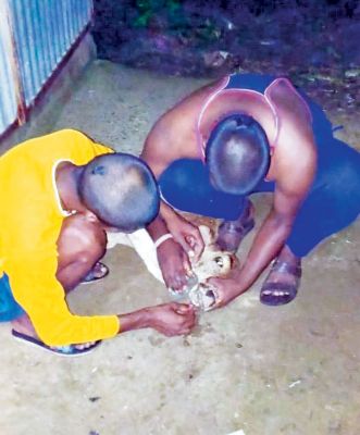 ग्रामीणों की मदद से बची मवेशियों की जान