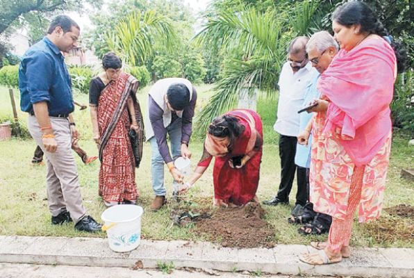 कुलपति सहित प्रदेश के कलाकारों ने विवि परिसर में रोपे पौधे