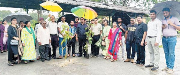 सेवा भारती ने कारगिल शहीदों की स्मृति में रोपे पौधे