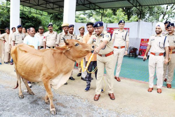 सडक़ दुर्घटनाओं में कमी लाने व सडक़ों पर मवेशियों को हताहत होने से बचाने रेडियम कॉलर अभियान शुरु