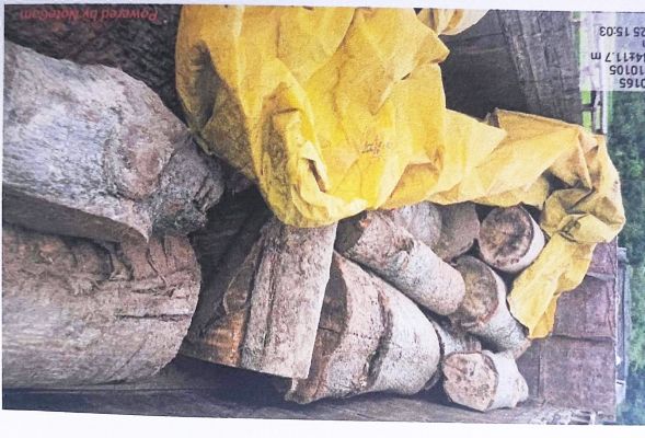  अवैध लक ड़ी का परिवहन करते वाहन व हाइड्रा जब्त