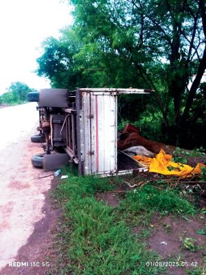 मवेशियों से भरी तेज रफ्तार पिकअप पलटी