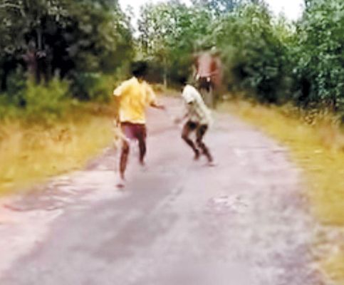 प्रतापपुर-अंबिकापुर रोड पर हाथी, रील बनाते युवकों को दौड़ाया