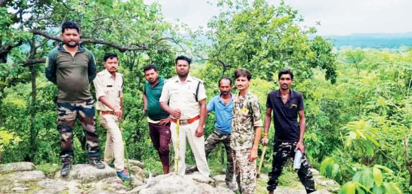 हाथियों के बाद अब शेर की धमक से फैली दहशत