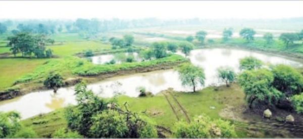 श्री फाउंडेशन ट्रस्ट की पहल 7 गांव में मिली पानी की बेहतर सुविधा