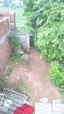 पटवारी पर गलत प्रतिवेदन देने का आरोप,  कलेक्टर से शिकायत