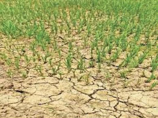 बलौदाबाजार के खेतों के लिए गंगरेल से पानी छोड़ा