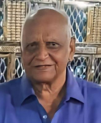 सुधीर कुमार मिश्रा का निधन