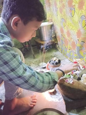 पोला पर्व पर घरों में बिखरी खुशियां 