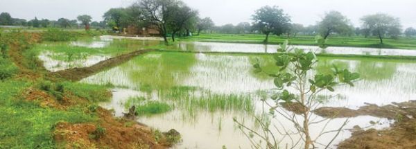 सरगुजा में 3 दिनों से मूसलाधार बारिश, नदी-नाले उफान पर, जलाशय लबालब