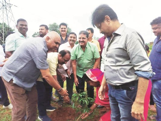 पूर्व प्रदेश महामंत्री कृष्ण कुमार राय ने पौधरोपण कर मनाया जन्मदिन