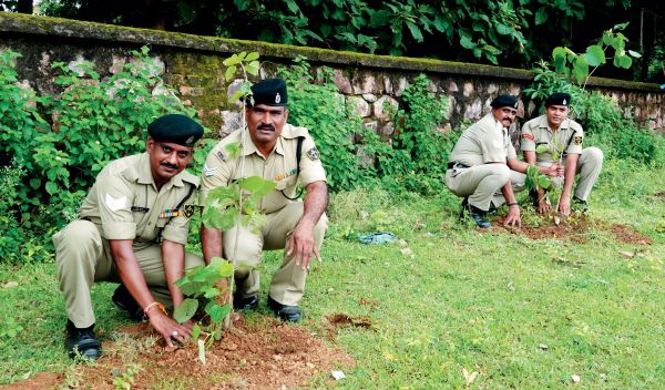 सीमा सुरक्षा बल ने वृक्षारोपण कर दिया पर्यावरण संरक्षण का संदेश