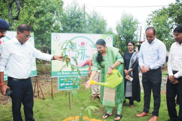  सारंगढ़ कलेक्ट्रेट परिसर में पौधारोपण