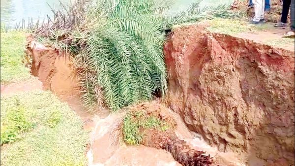 महानदी मुख्य नहर आरंग के पास टूटी