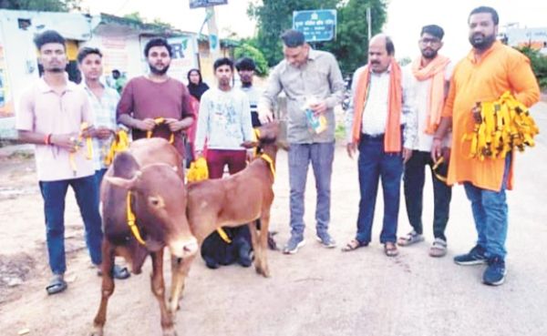 बजरंग दल तथा गौ सेवकों ने गाय बैलों के गले में बांधी रेडियम पट्टी