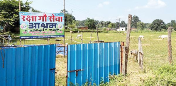 बासेन में गौ सेवा आश्रम का शुभारंभ