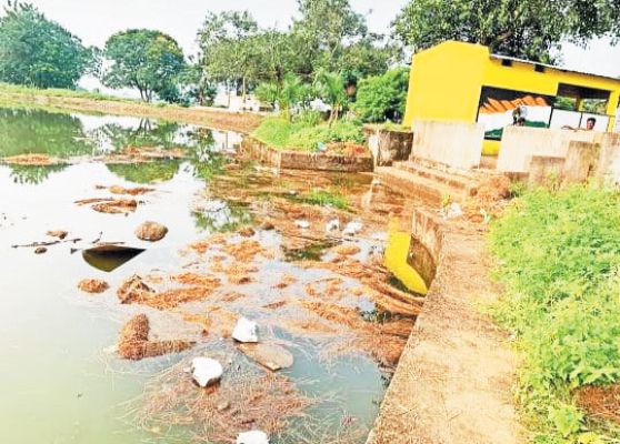 गणपति प्रतिमा विसर्जन के बाद तालाब में गंदगी पसरी