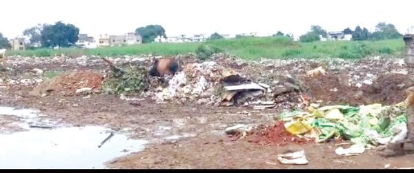 कौशल्या विहार बना कचरा विहार लोग बीमारियों से जकड़ रहे