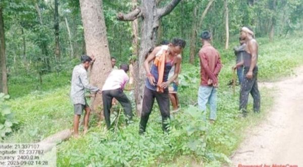 बगैर अनुमति मिश्रित-सागौन के पेड़ काटने पर तीन दर्जन ग्रामीण जेल दाखिल