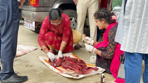 शिकार के बाद हिरण का मांस पकाने की थी तैयारी, ग्रामीणों की सूचना पर 4 शिकारी गिरफ्तार