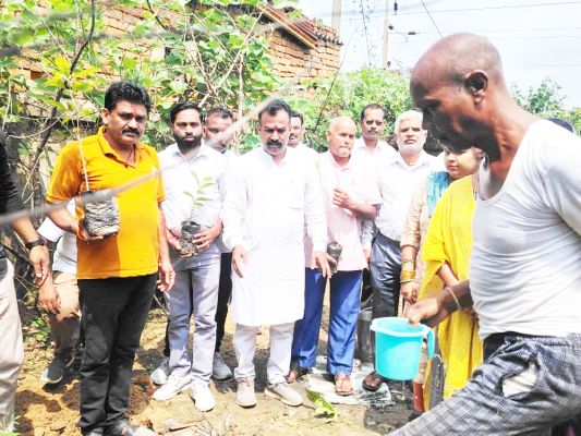 सेवा पखवाड़ा: भाजपा मंडल  भैयाथान के विभिन्न सेवा कार्य