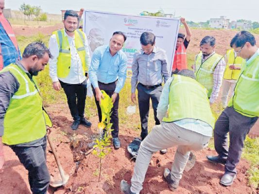 एनएच 130 सी किनारे पौधरोपण