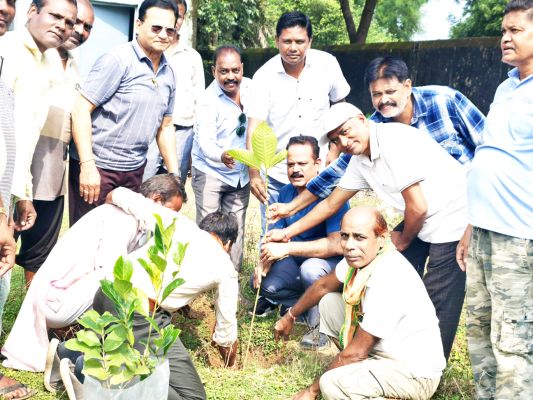 सेवा पखवाड़ा पर स्वच्छता अभियान -पौधरोपण